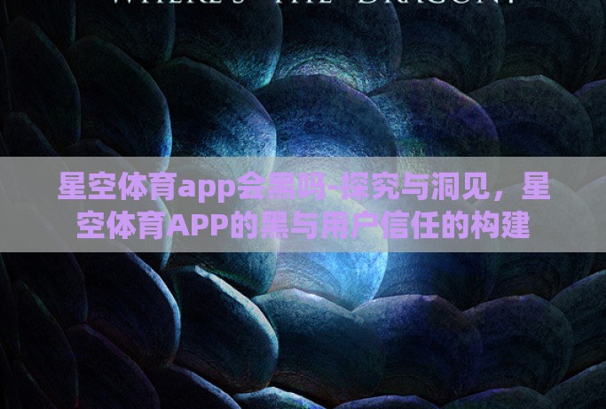 星空体育app会黑吗-探究与洞见，星空体育APP的黑与用户信任的构建