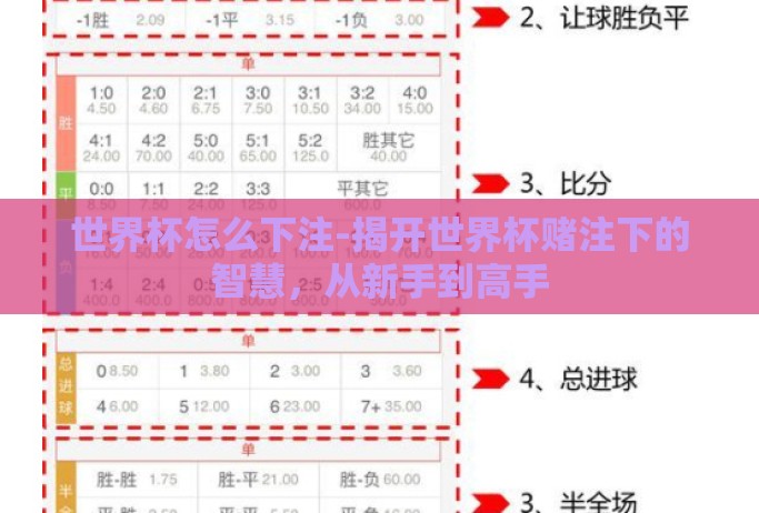 世界杯怎么下注-揭开世界杯赌注下的智慧,从新手到高手 世界杯怎么下注-揭开世界杯赌注下的智慧,从新手到高手