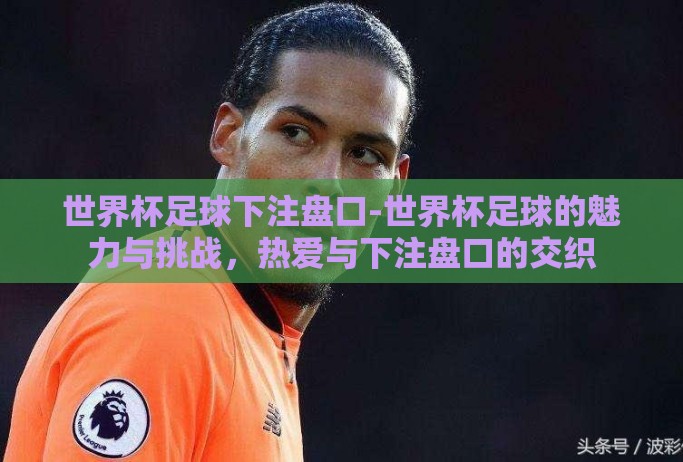 世界杯足球下注盘口-世界杯足球的魅力与挑战，热爱与下注盘口的交织