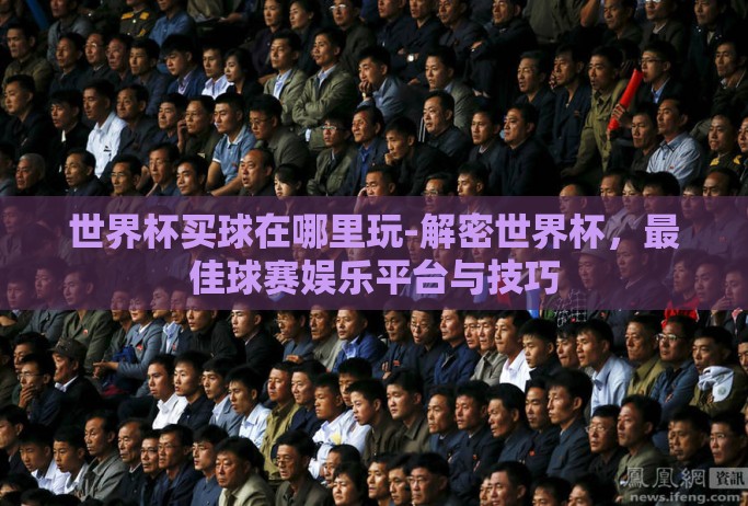 世界杯买球在哪里玩-解密世界杯，最佳球赛娱乐平台与技巧