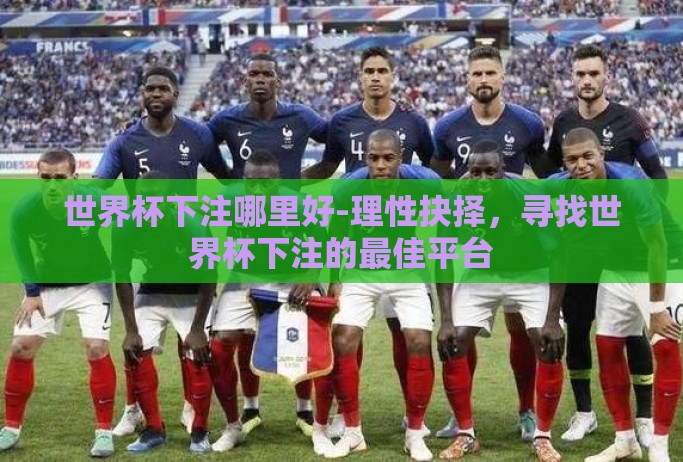 世界杯下注哪里好-理性抉择，寻找世界杯下注的最佳平台