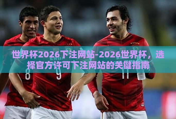 世界杯2026下注网站-2026世界杯，选择官方许可下注网站的关键指南