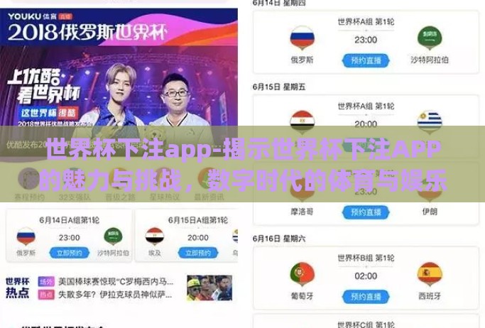 世界杯下注app-揭示世界杯下注APP的魅力与挑战，数字时代的体育与娱乐交汇