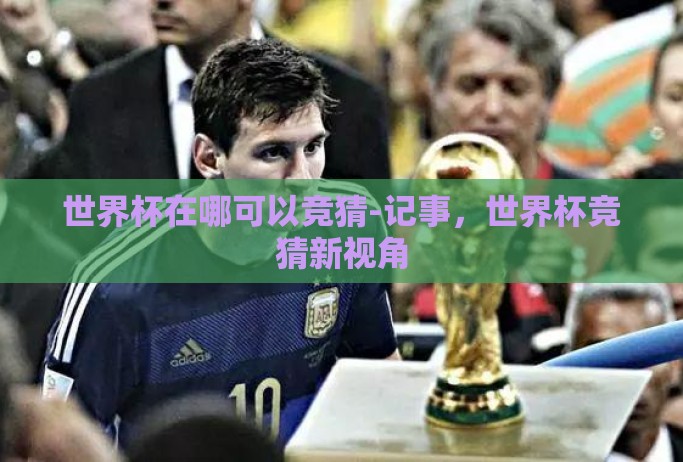世界杯在哪可以竞猜-记事，世界杯竞猜新视角