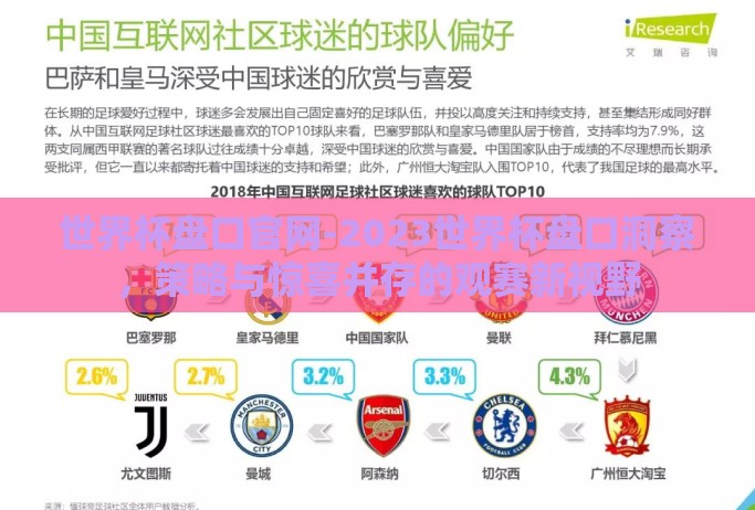 世界杯盘口官网-2023世界杯盘口洞察，策略与惊喜并存的观赛新视野