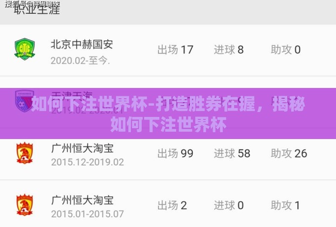如何下注世界杯-打造胜券在握，揭秘如何下注世界杯