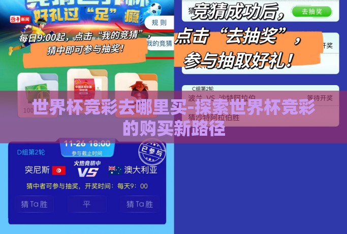 世界杯竞彩去哪里买-探索世界杯竞彩的购买新路径