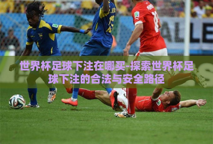 世界杯足球下注在哪买-探索世界杯足球下注的合法与安全路径