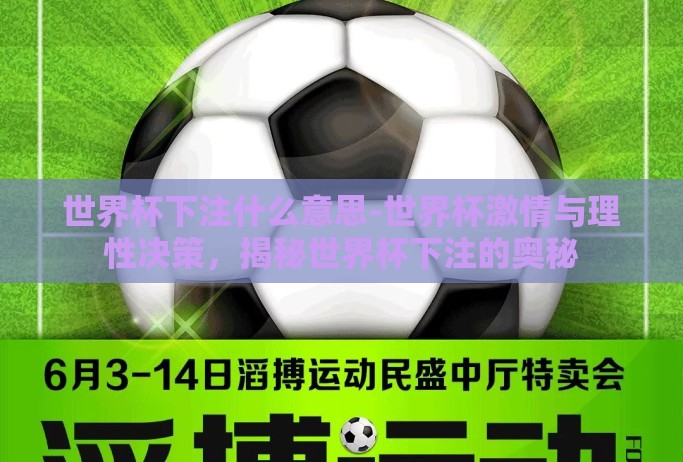 世界杯下注什么意思-世界杯激情与理性决策,揭秘世界杯下注的奥秘 世界杯下注什么意思-世界杯激情与理性决策,揭秘世界杯下注的奥秘