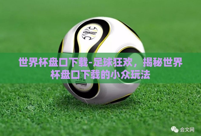 世界杯盘口下载-足球狂欢,揭秘世界杯盘口下载的小众玩法 世界杯盘口下载-足球狂欢,揭秘世界杯盘口下载的小众玩法