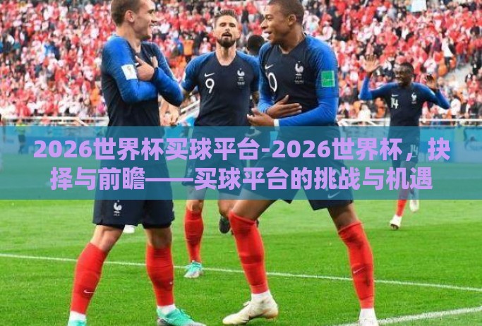 2026世界杯买球平台-2026世界杯，抉择与前瞻——买球平台的挑战与机遇