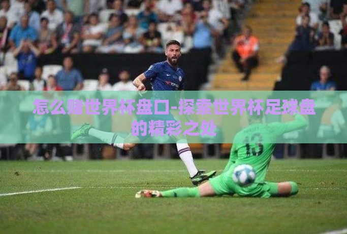 怎么赌世界杯盘口-探索世界杯足球盘的精彩之处