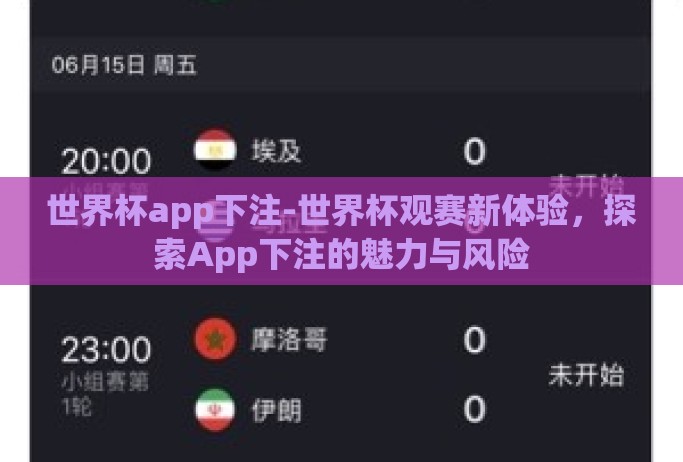 世界杯app下注-世界杯观赛新体验，探索App下注的魅力与风险