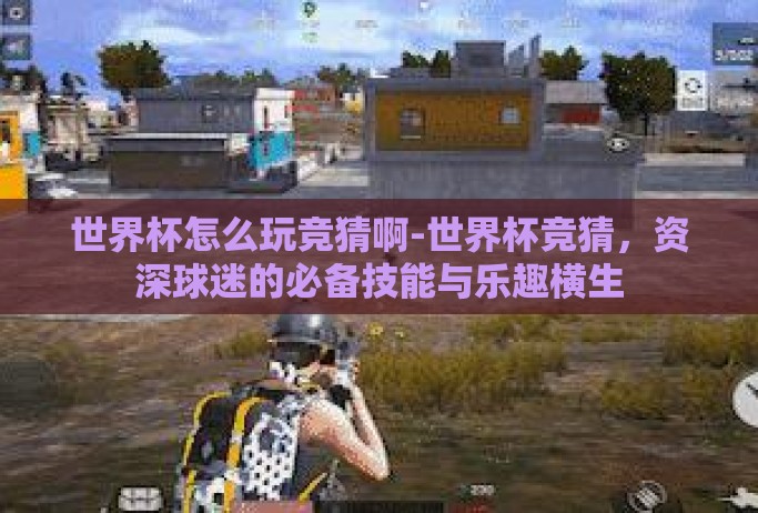 世界杯怎么玩竞猜啊-世界杯竞猜，资深球迷的必备技能与乐趣横生