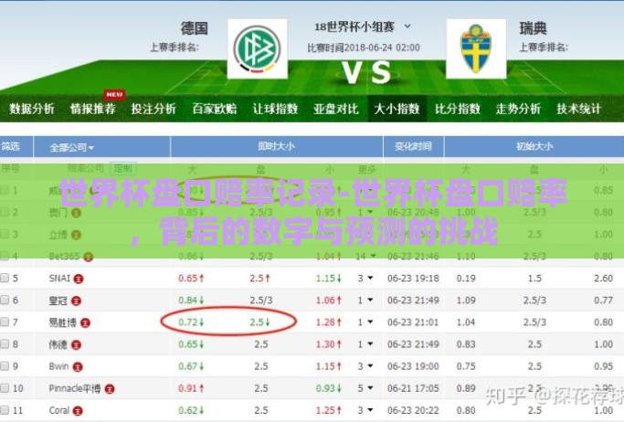 世界杯盘口赔率记录-世界杯盘口赔率，背后的数字与预测的挑战