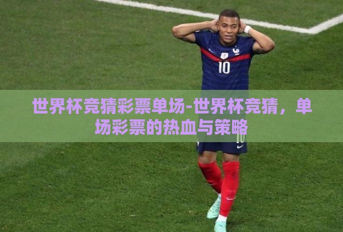 世界杯竞猜彩票单场-世界杯竞猜,单场彩票的热血与策略 世界杯竞猜彩票单场-世界杯竞猜,单场彩票的热血与策略