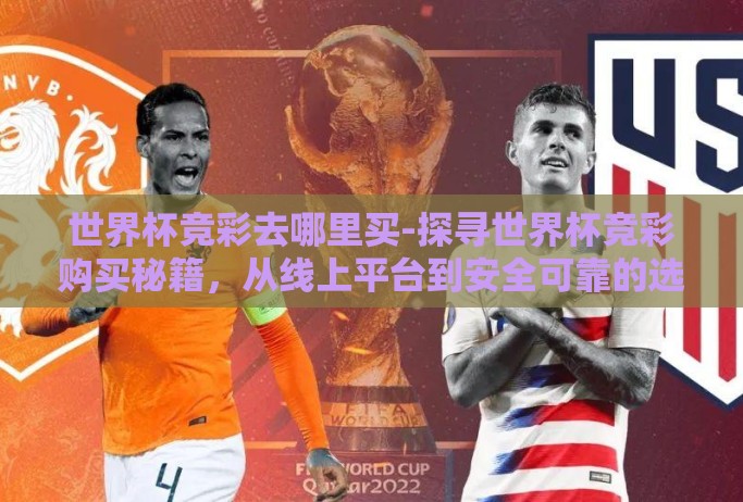 世界杯竞彩去哪里买-探寻世界杯竞彩购买秘籍，从线上平台到安全可靠的选择