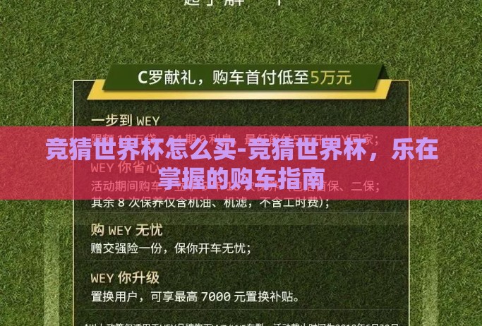 竞猜世界杯怎么买-竞猜世界杯,乐在掌握的购车指南 竞猜世界杯怎么买-竞猜世界杯,乐在掌握的购车指南