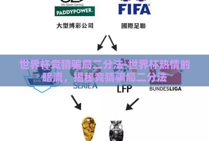 世界杯竞猜骗局二分法-世界杯热情的暗流，揭秘竞猜骗局二分法