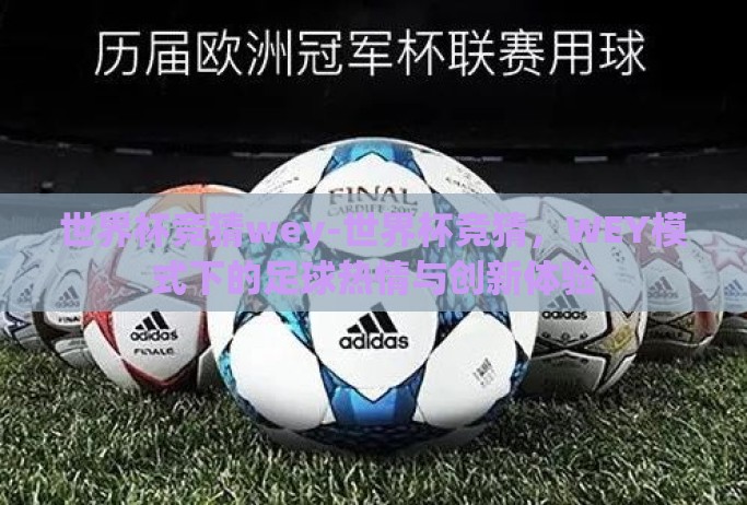 世界杯竞猜wey-世界杯竞猜,WEY模式下的足球热情与创新体验 世界杯竞猜wey-世界杯竞猜,WEY模式下的足球热情与创新体验