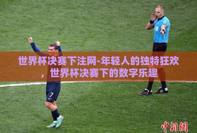 世界杯决赛下注网-年轻人的独特狂欢，世界杯决赛下的数字乐趣