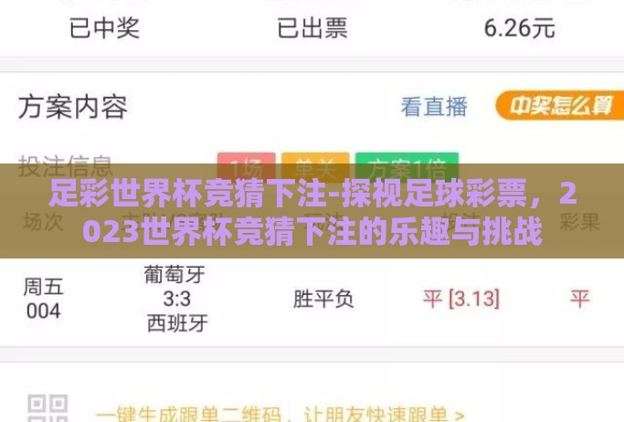 足彩世界杯竞猜下注-探视足球彩票，2023世界杯竞猜下注的乐趣与挑战