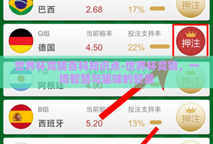 世界杯竞猜百科知识点-世界杯竞猜，一场智慧与趣味的较量